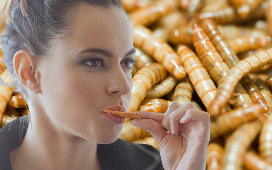 Podcast: Süßes, mal anders – genussvolle Insekten-Gebäcke?!