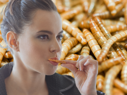 Podcast: Süßes, mal anders – genussvolle Insekten-Gebäcke?!